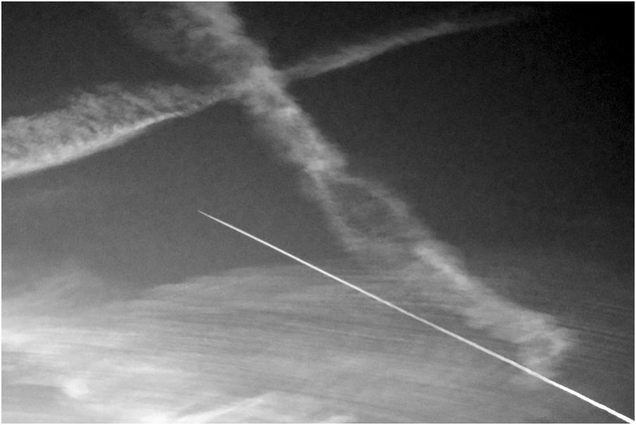The Cross
