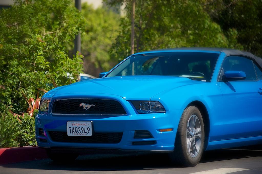 the first Mustang
