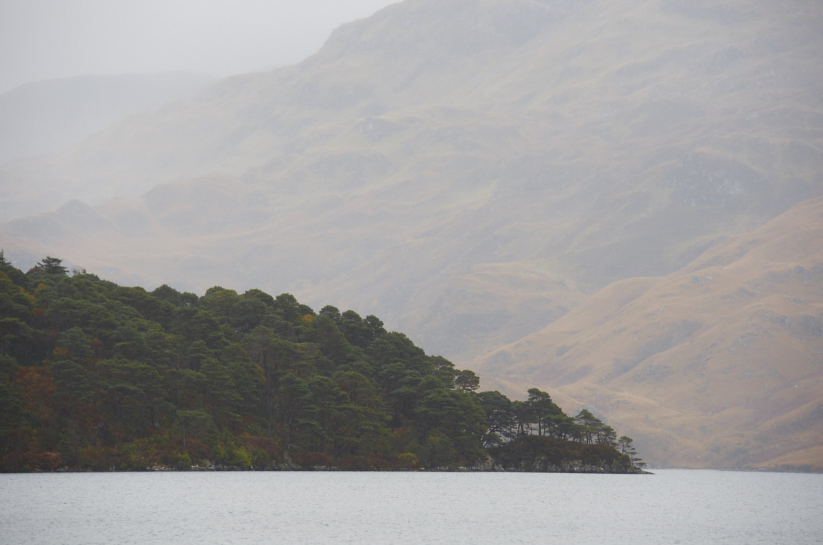 The Island in the Fog