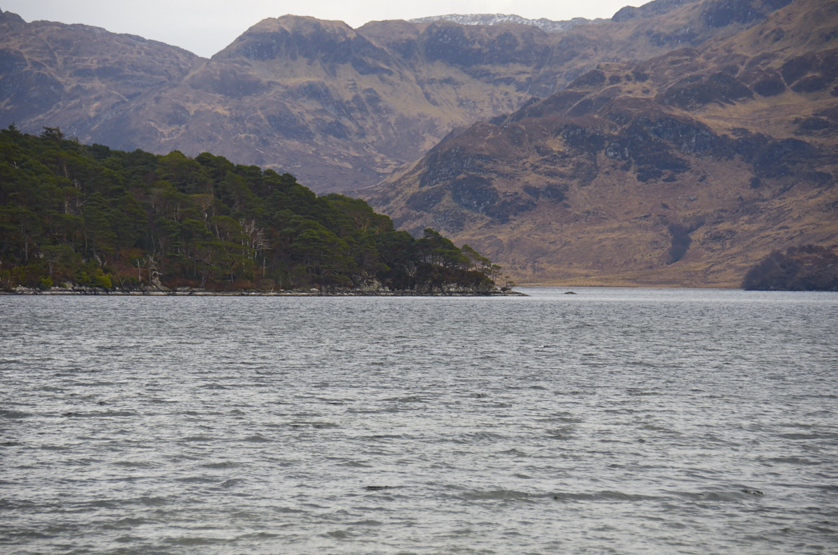 The Island without the Fog