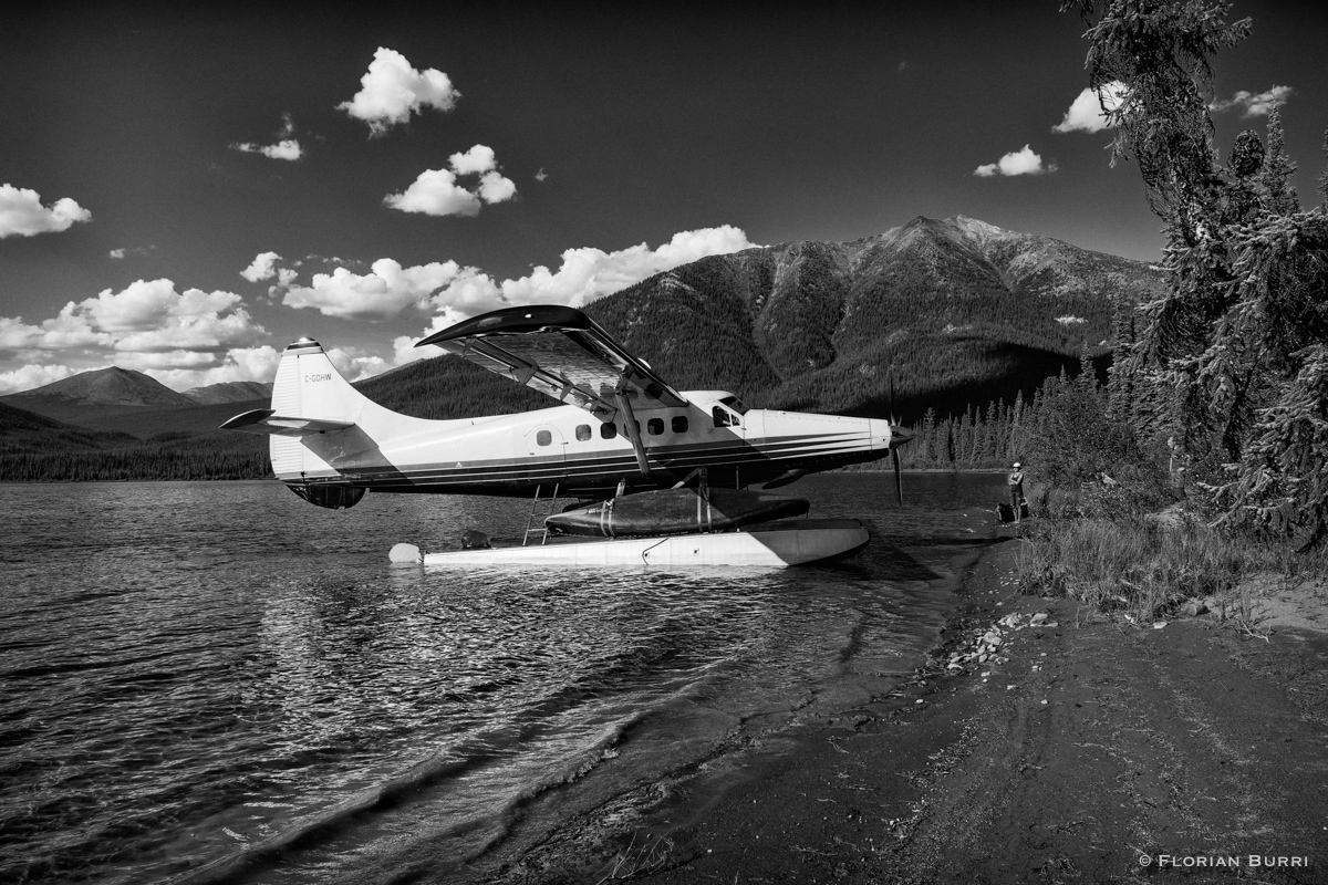 The Plane
