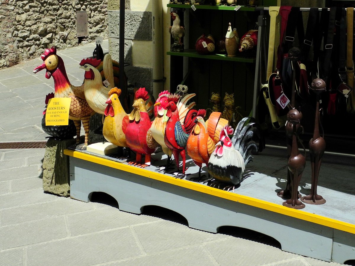 THE ROOSTERS...