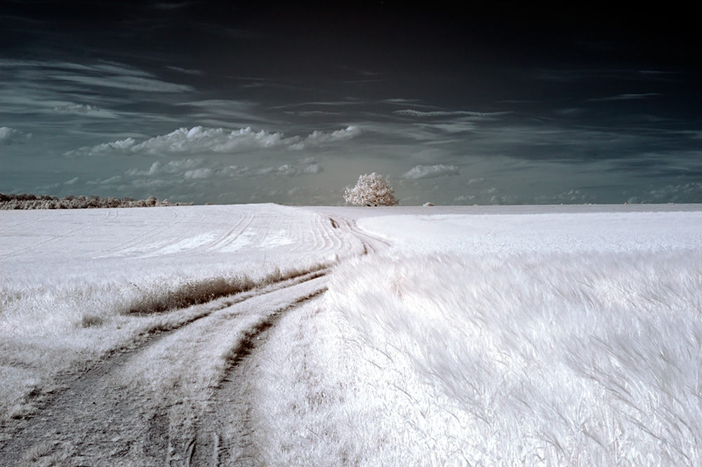 The way to... 1
