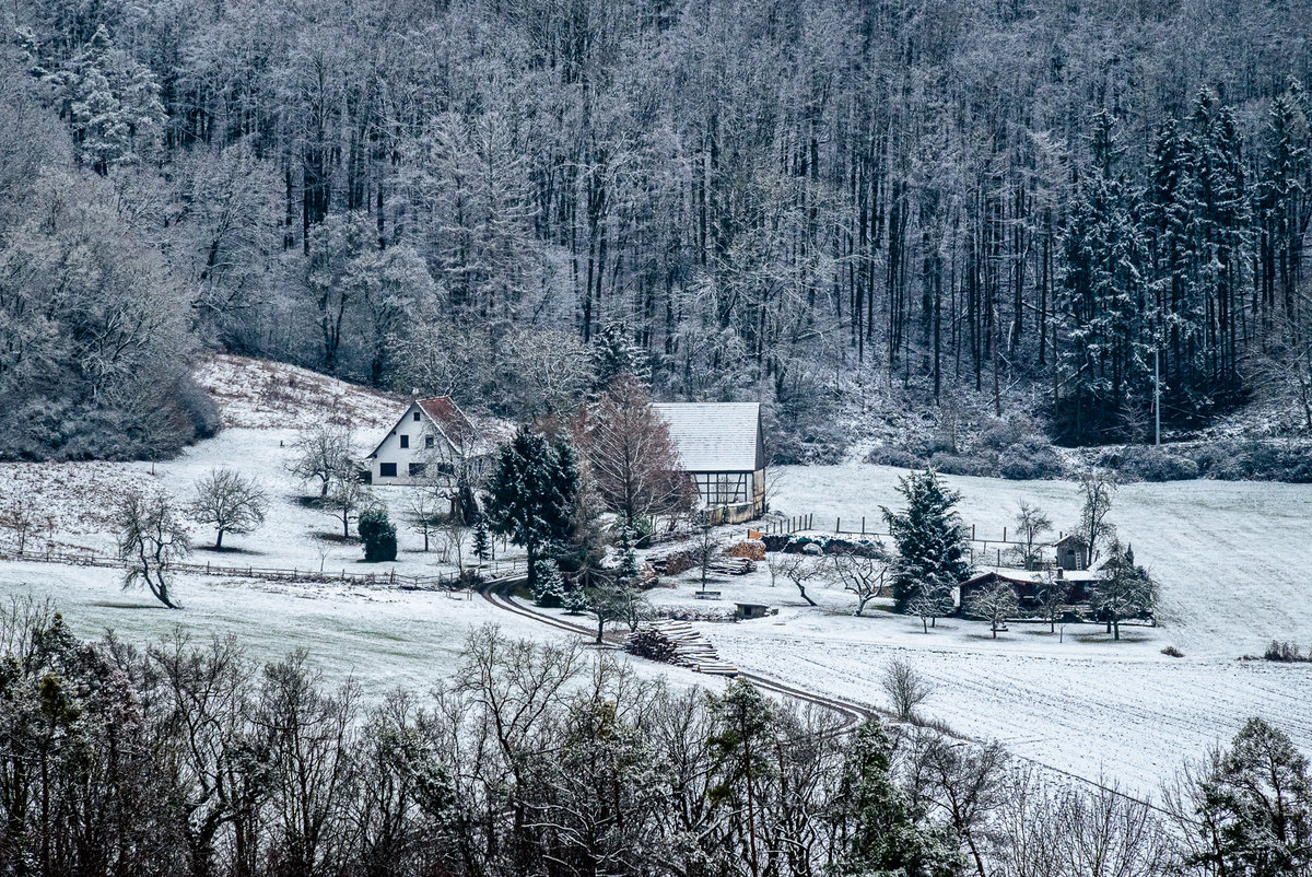 The Winter Estate