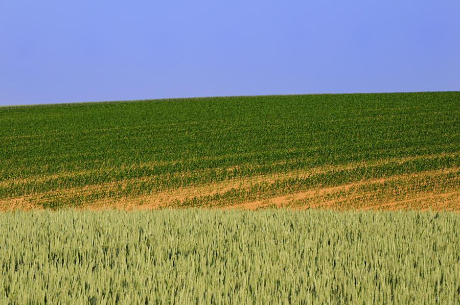Three Colors #2