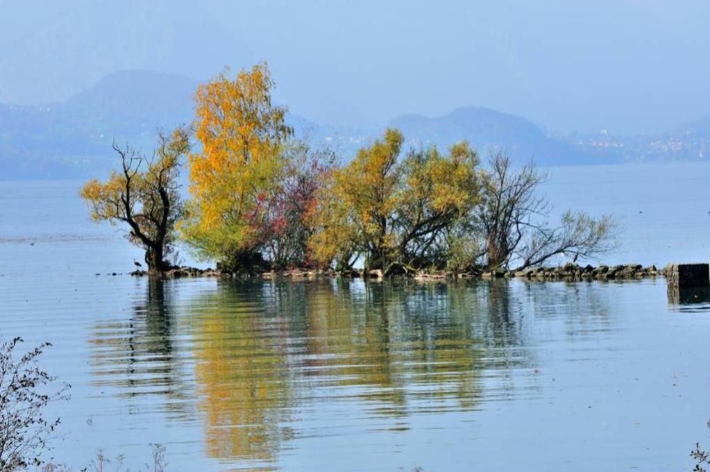 Thunersee im Hintergrund
im Vordergrund und nach rechts gehend
Schiffskanal nach Interlaken West