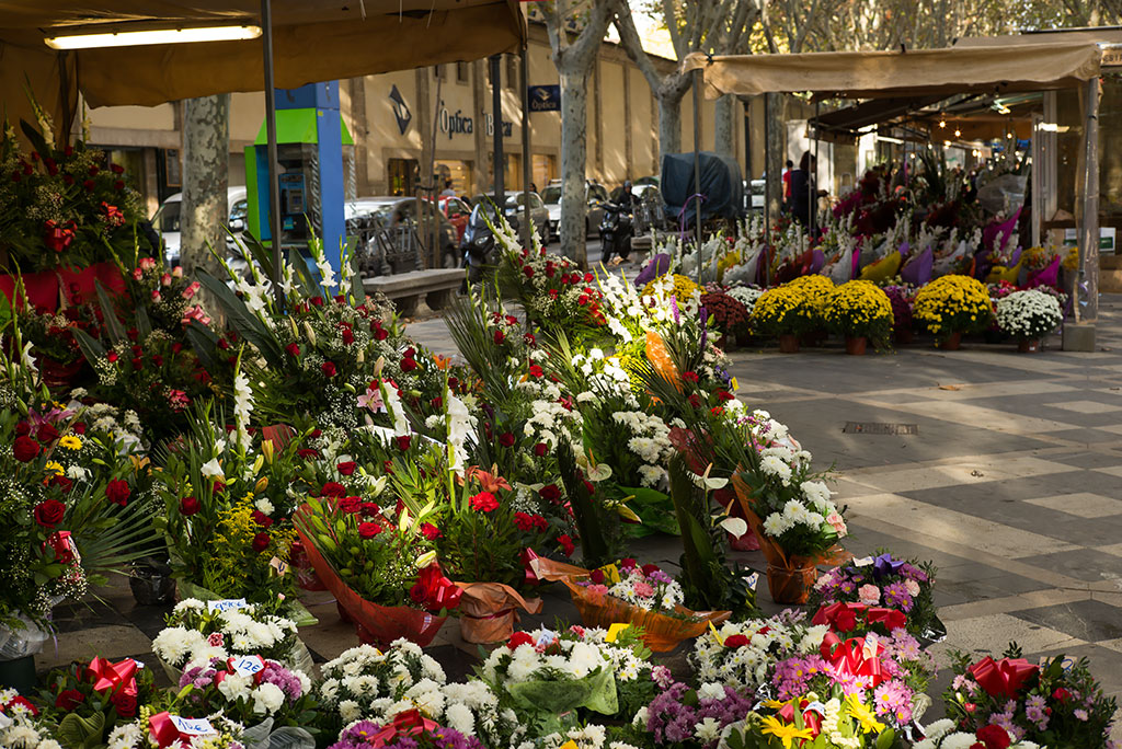 tienda flores