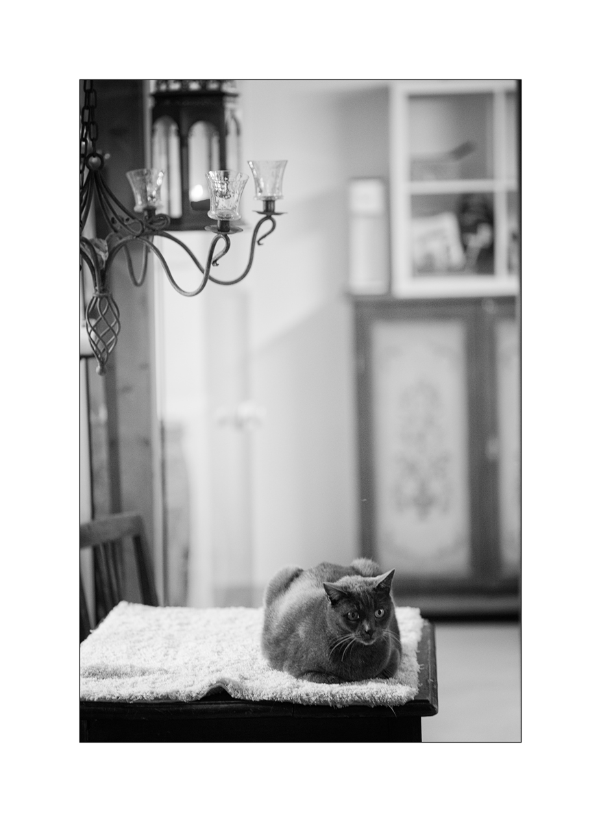 TierDSC_3091.jpg