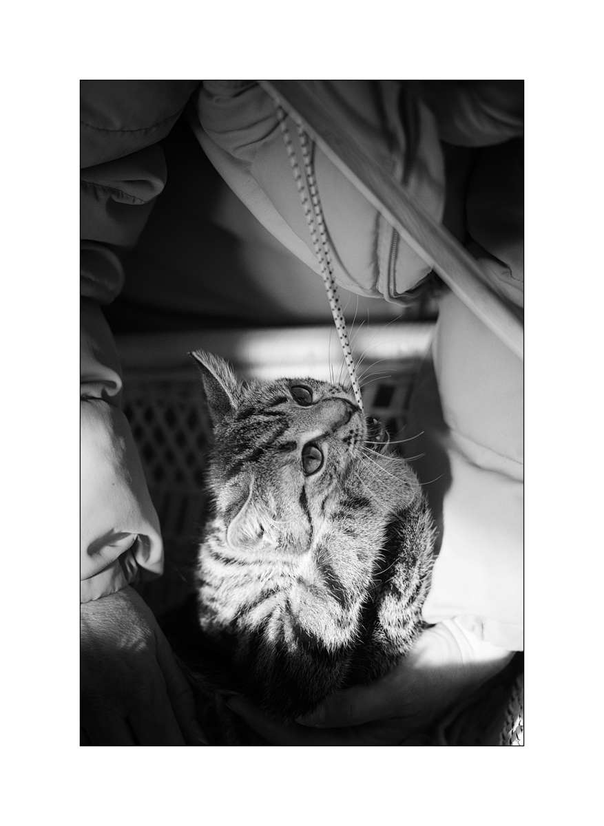 TierDSC_3102.jpg