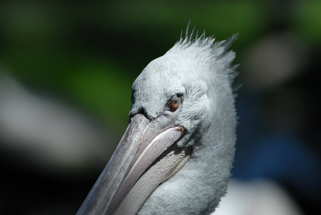 Tiergarten Schönbrunn 02