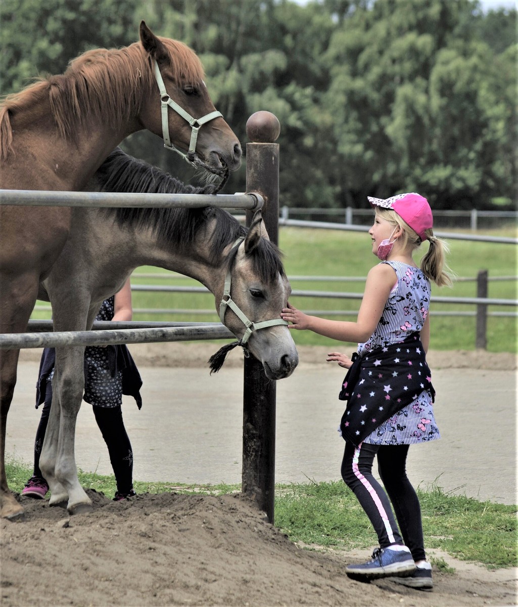 Tierliebe.jpg
