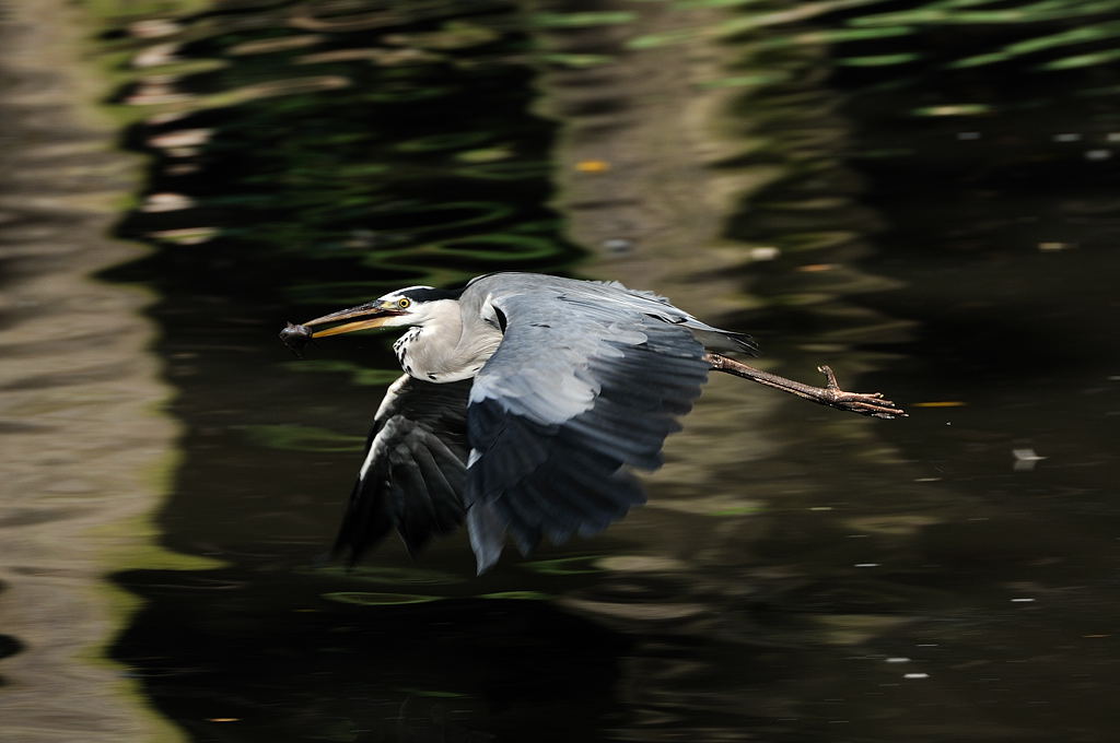Tierpark Berlin-Friedrichsfelde
