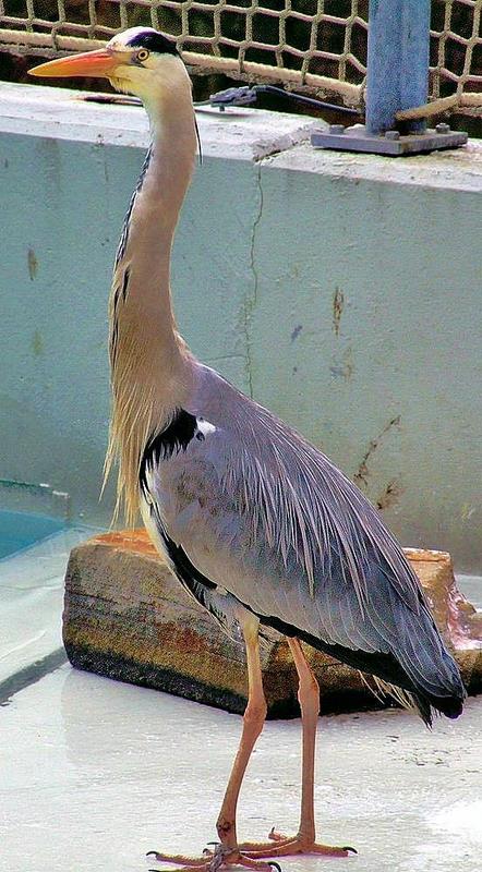 Tierpark Bochum