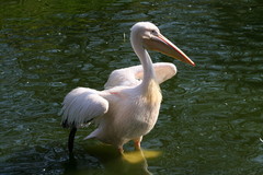 tierpark hagenbeck 877099ed 62cc 4512 8efc d07a0eccbabc