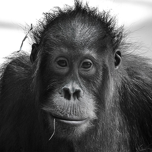 Tierpark München.

Dieser Blick...