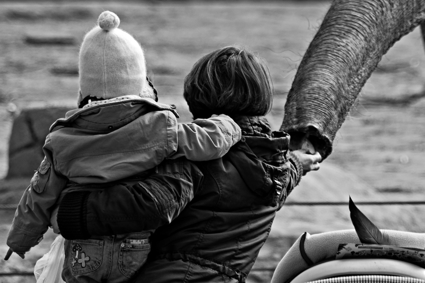 Tierpark