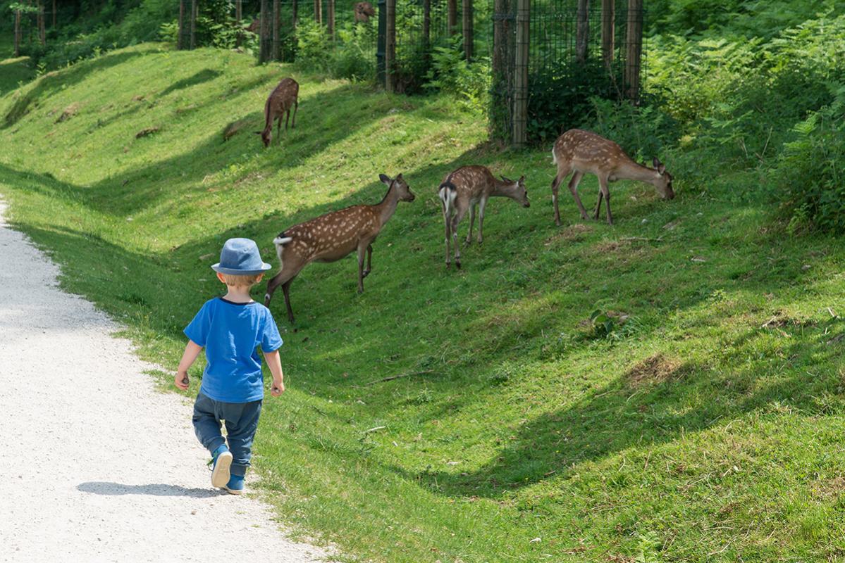 Tierpark
