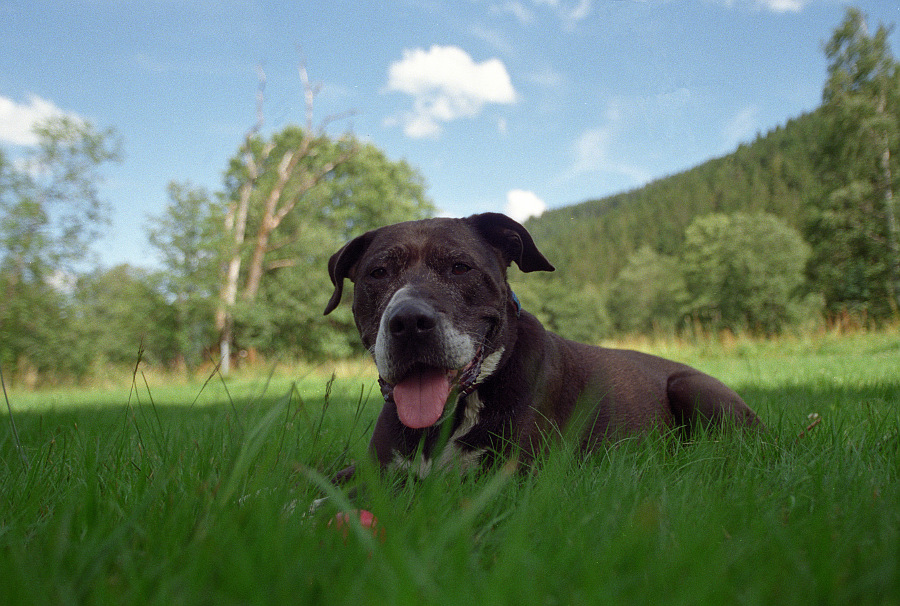 Timba