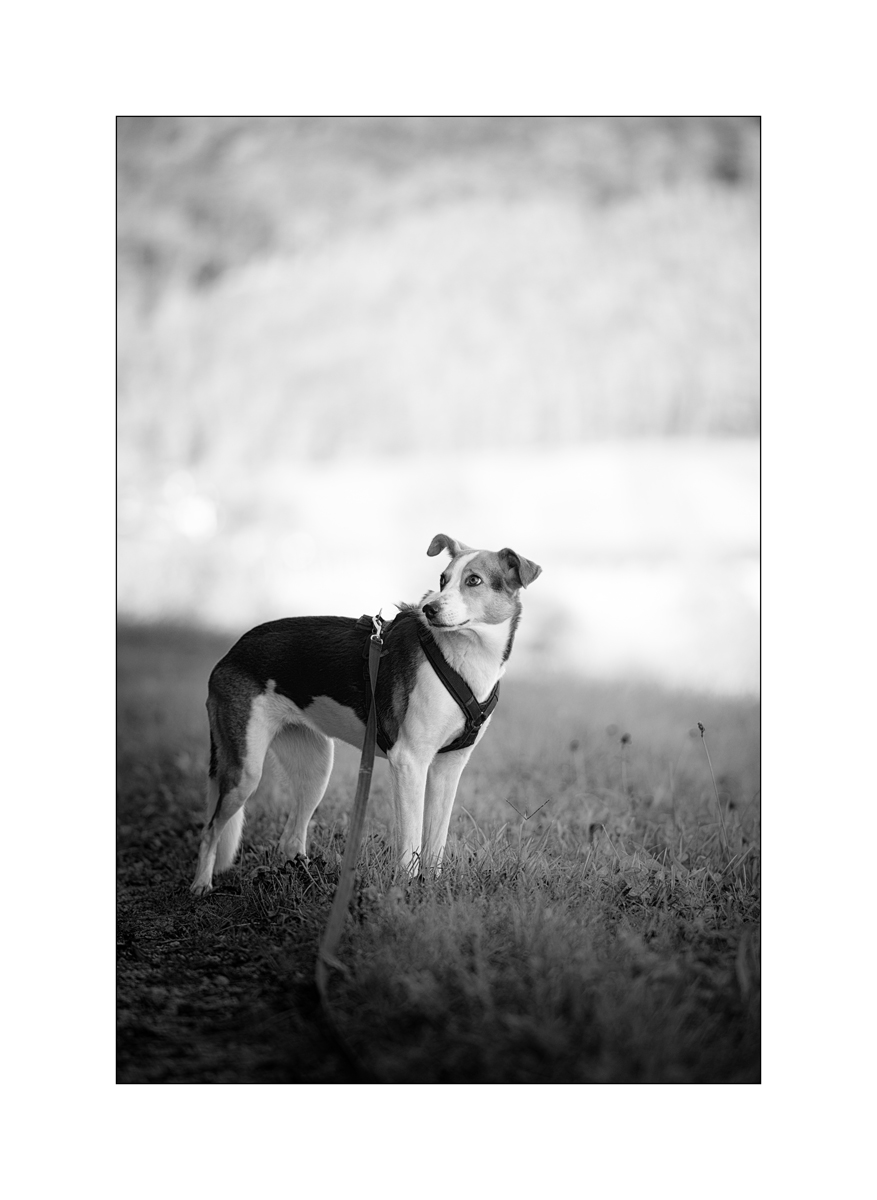 TinaDSC_5460.jpg