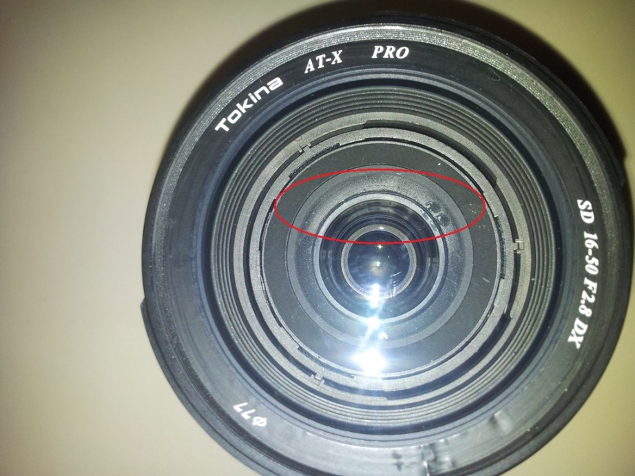 Tokina 16-50 2.8 DX Pilzbefall?