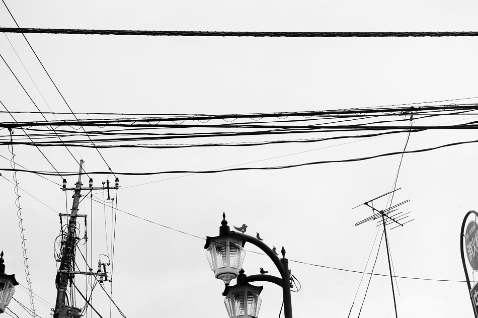 Tokyo 14 23 04 2014 1044280
