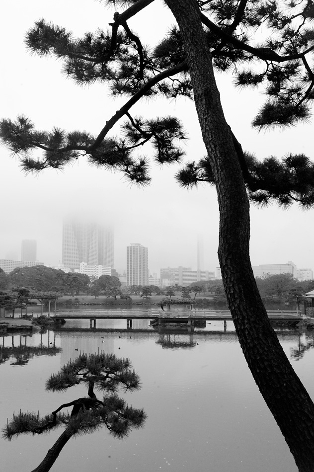 Tokyo 14 23 04 2014 1044545