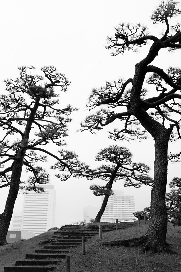 Tokyo 14 23 04 2014 1044617