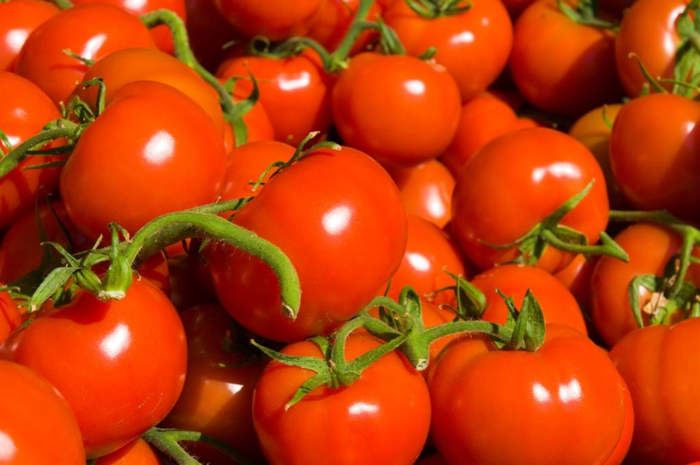 Tomaten Bunt