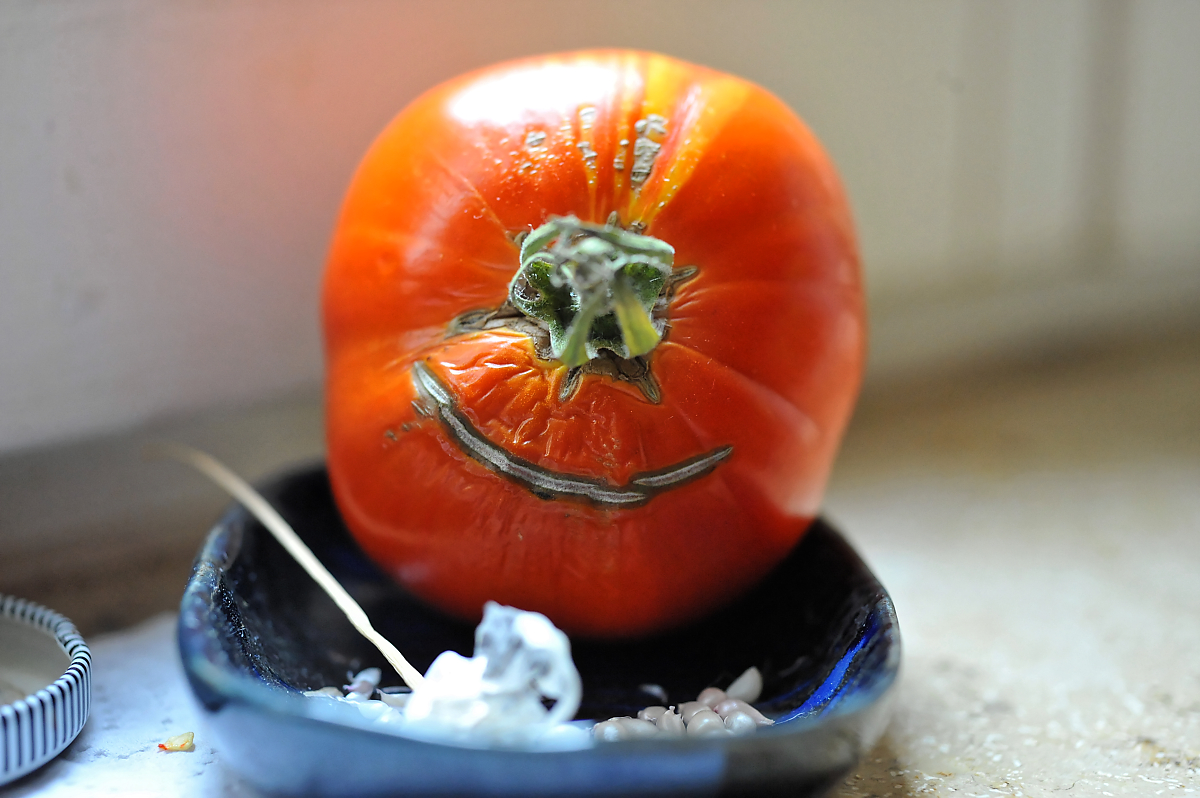 Tomaten-Zyclop.jpg