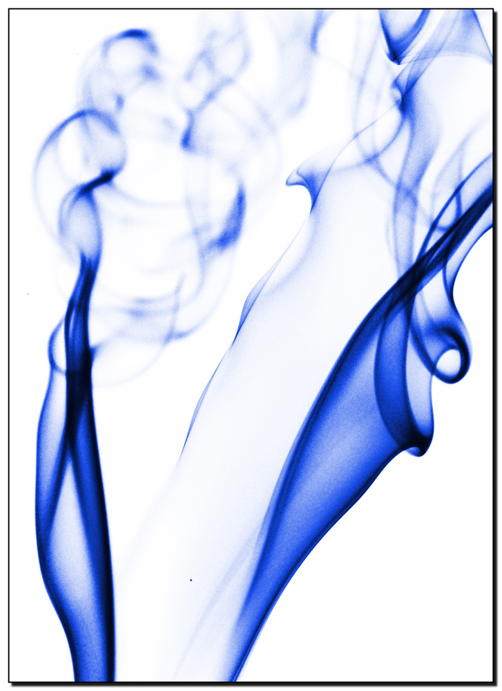 tora azureus