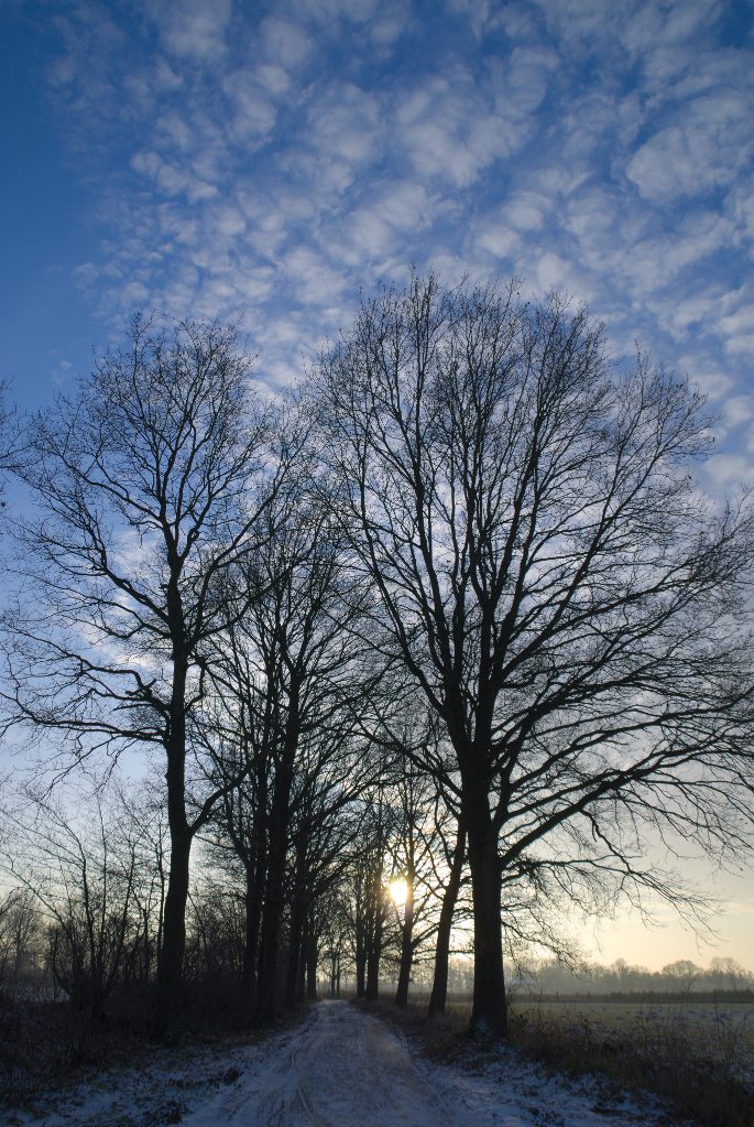 Tornesch Winter 2012