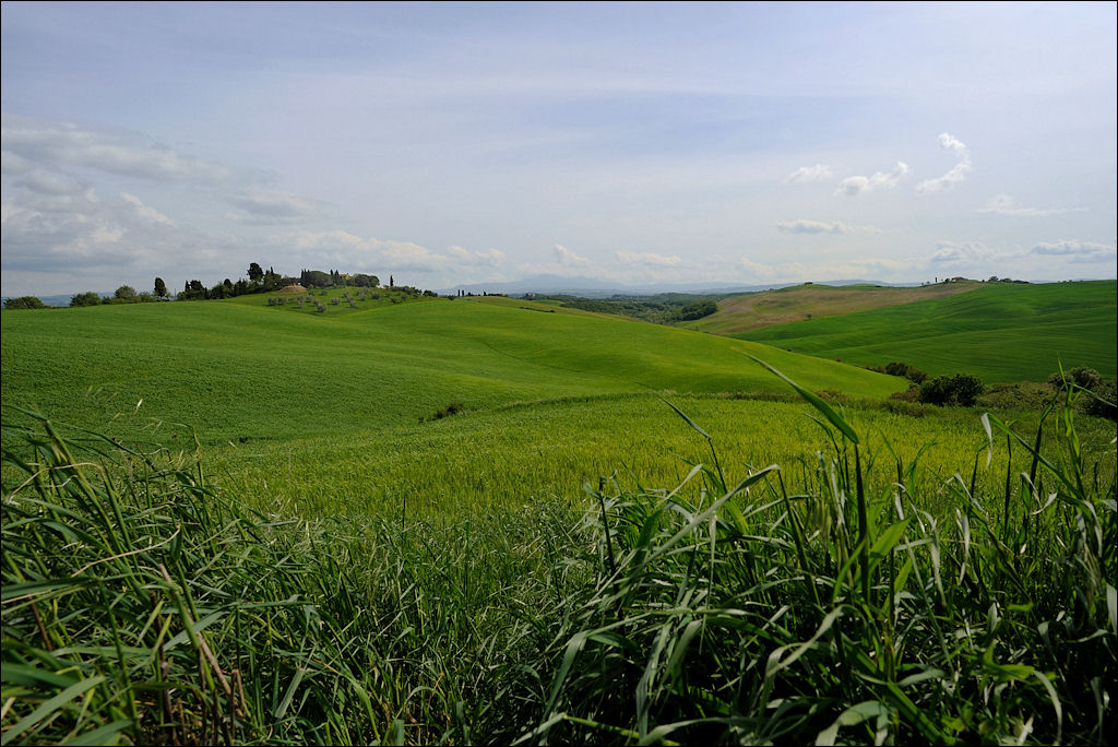 Toscana Crete