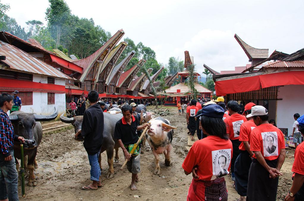 Totenfeier im Toraja Land