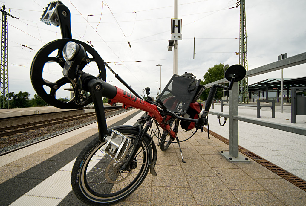 Toxy bei 8mm