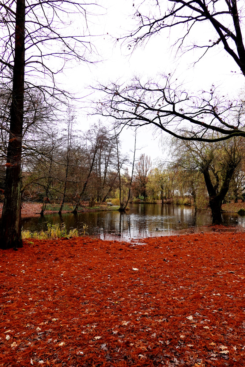 trübe Aussichten am Weiher.jpg