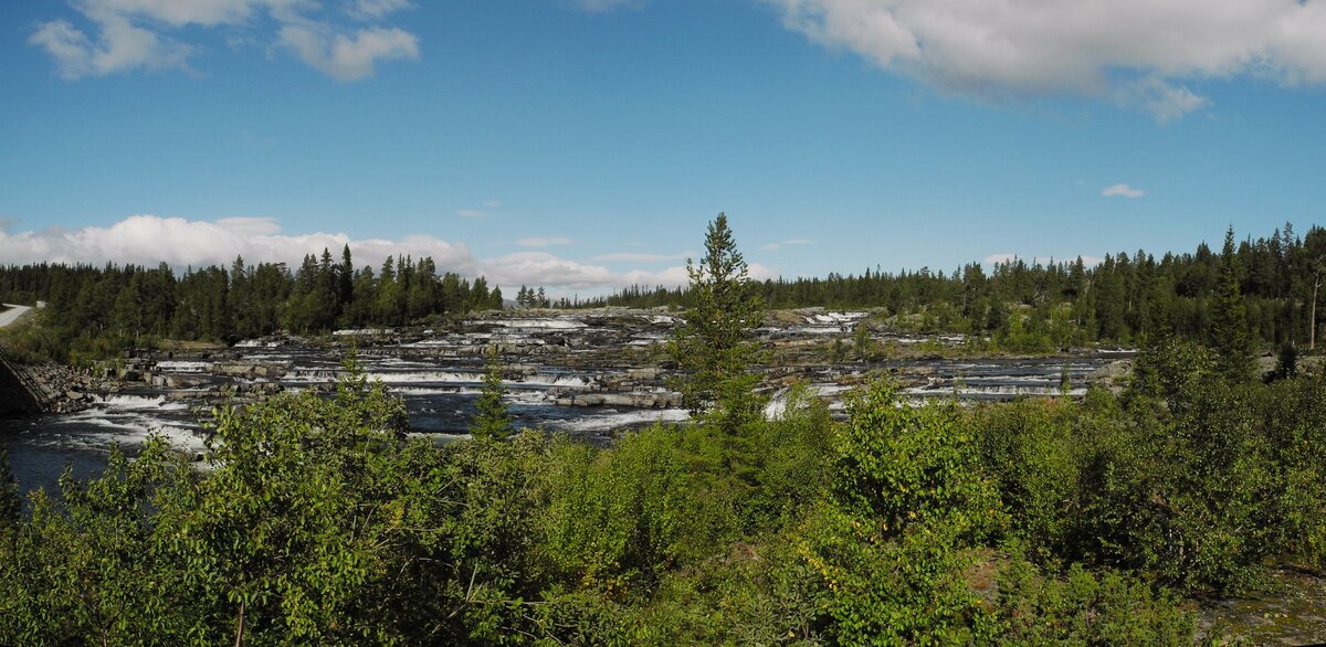 Trappstegsforsen