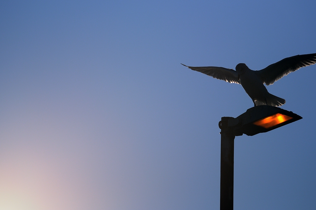 Travemünde tiefgekühlt5