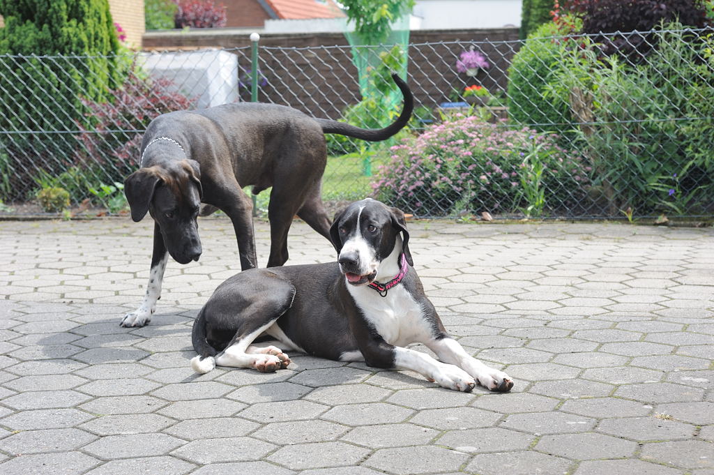 Treffen 1