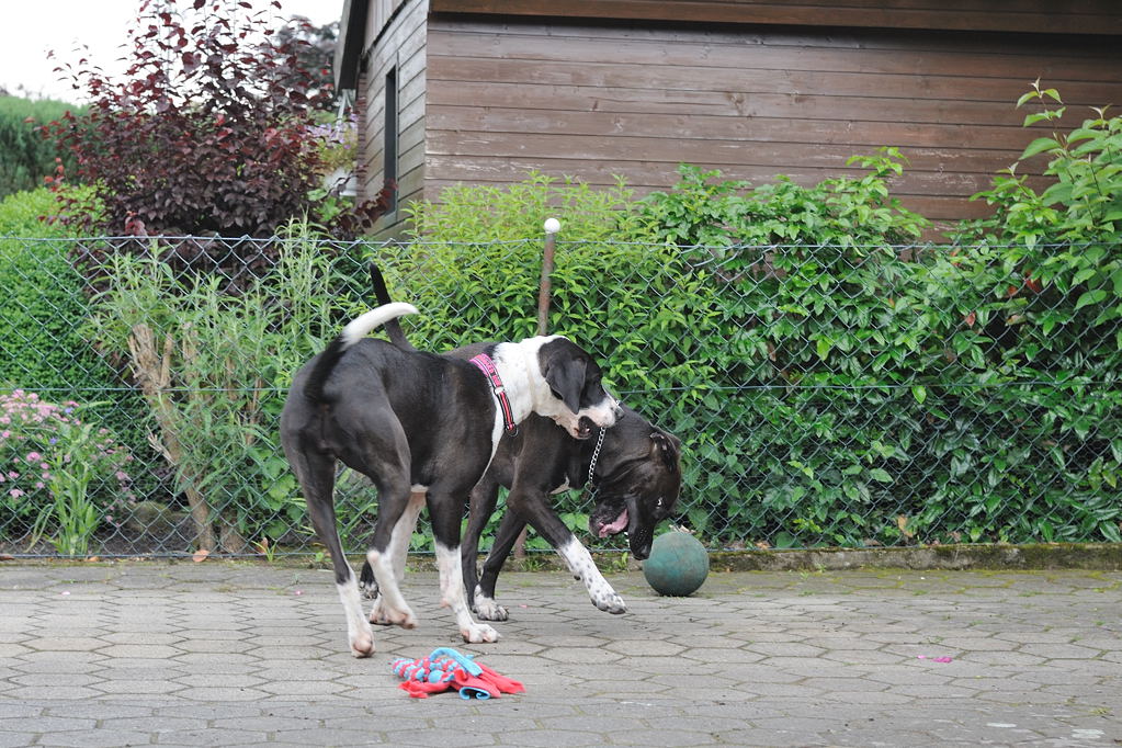 Treffen 10