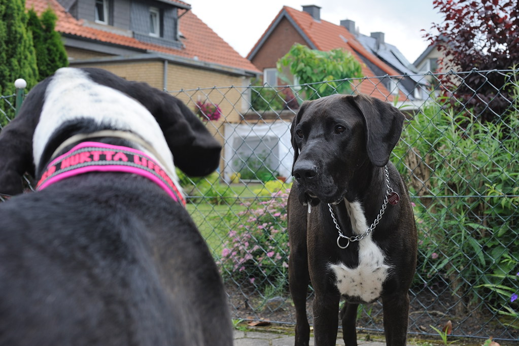 Treffen 3