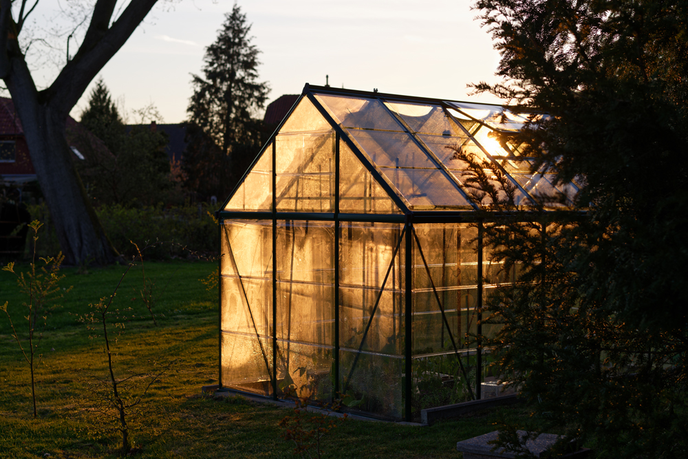 Treibhaus.jpg