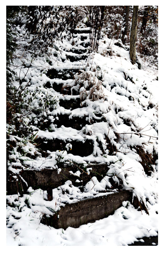 treppe