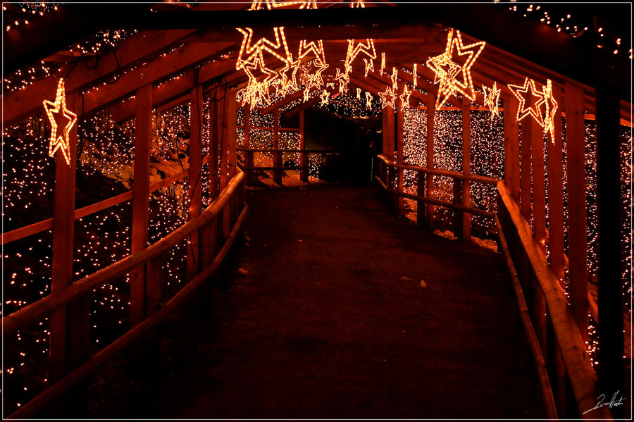 Triberger Weihnachtszauber 5