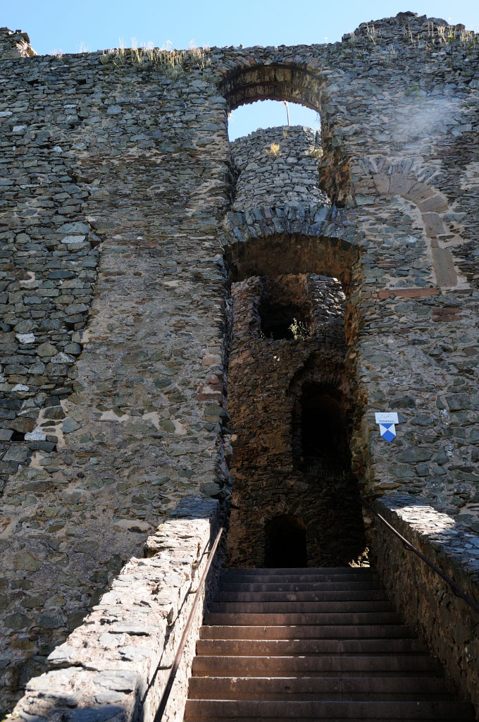 Trier 2013MOL 2790 9447