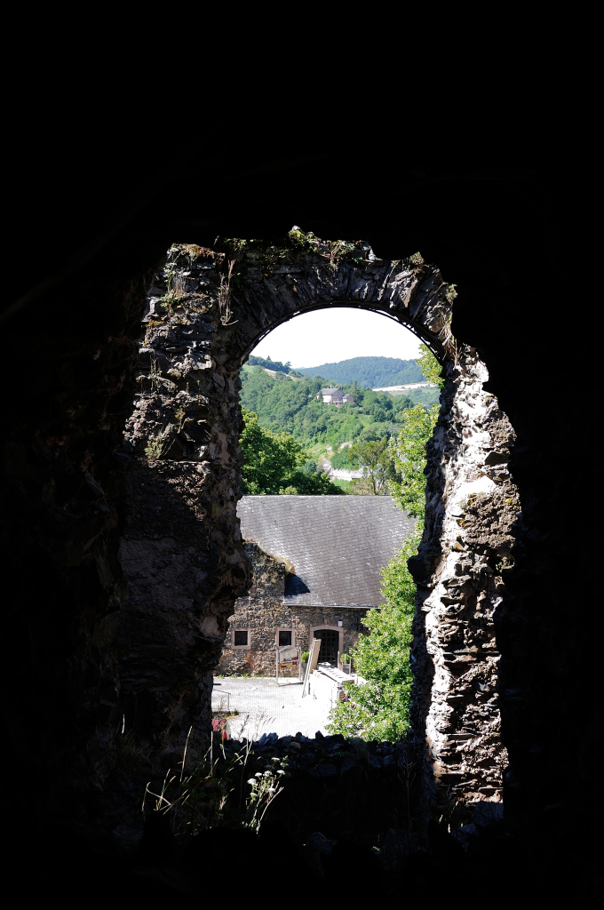 Trier 2013MOL 2791 9448