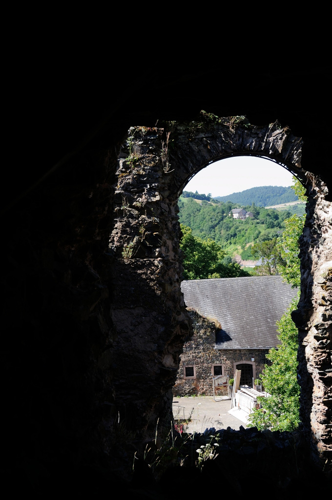 Trier 2013MOL 2792 9449