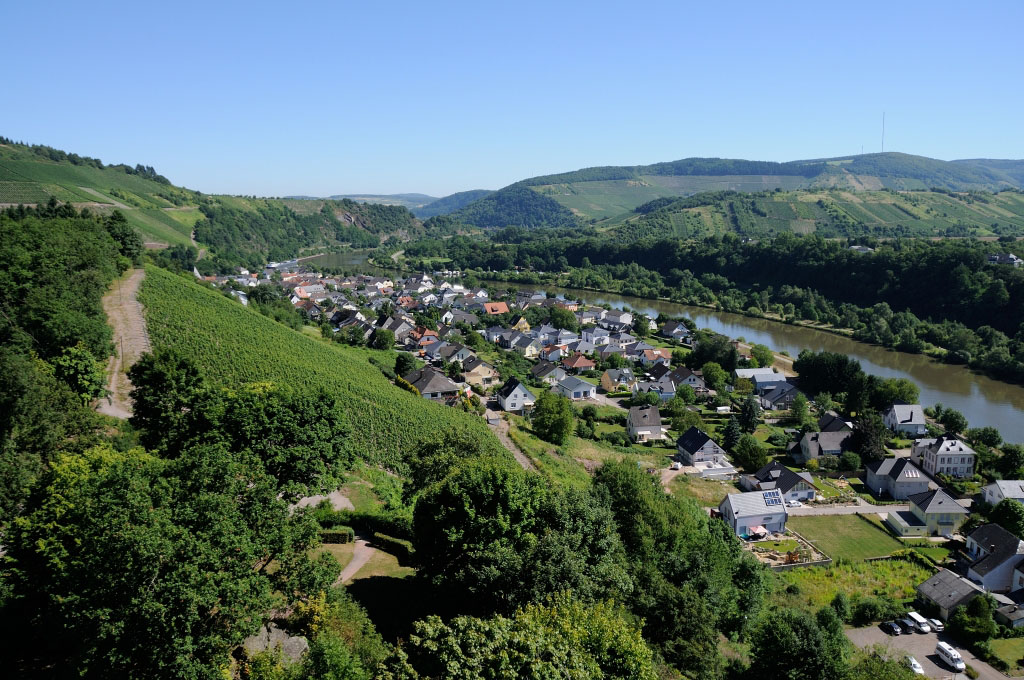 Trier 2013MOL 2797 9454