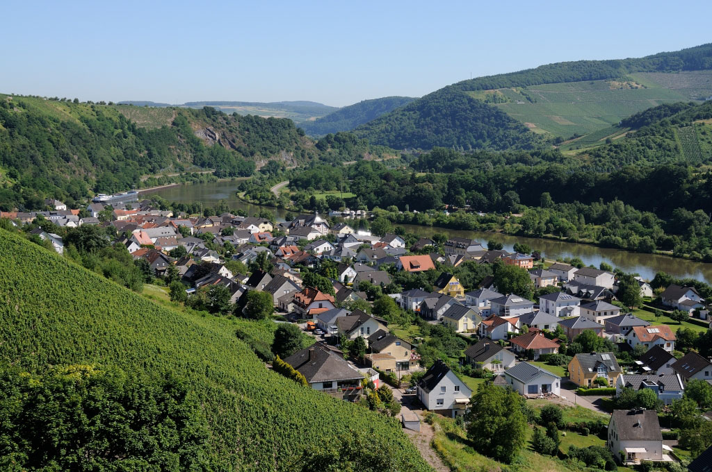Trier 2013MOL 2798 9455
