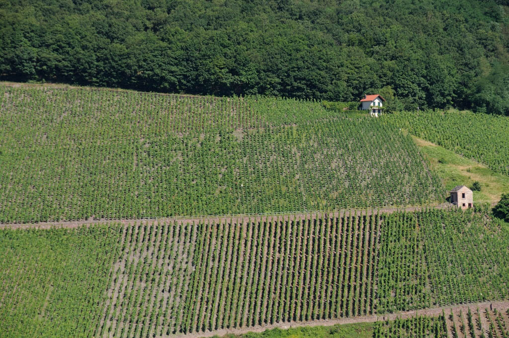 Trier 2013MOL 2800 9457