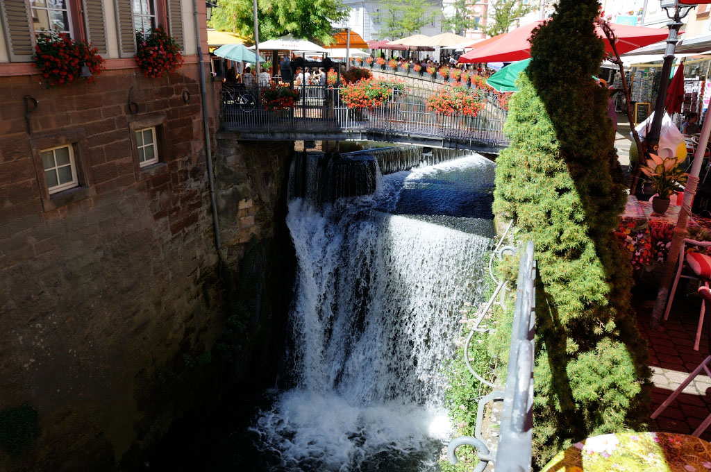 Trier 2013MOL 2824 9481